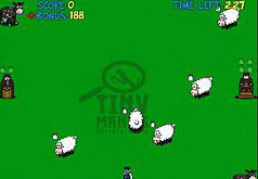 Игра Магнат овец