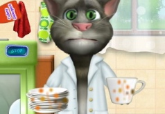 Игры Кот моет посуду