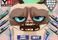 Игры Сердитый кот у зубного