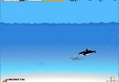 игры дельфины касатки