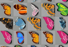 бабочки картинки игры